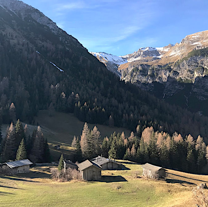 Square format; alpine pastures with huts, behind that a small forest and rocky mountains Quadratisches Format; Almwiese und Almhütten, dahinter Wald und Berge