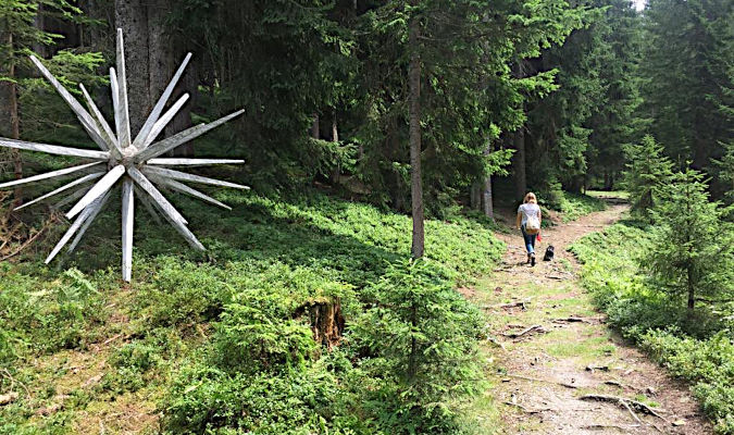 Landscape format, dominant colour is green. Light forest. At the right side of the picture there's a path, a woman together with a small dog walks along. In the left half of the picture there's a big wooden sculpture looking like a star with spikes in all directions.